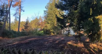 von_poll_real_estate_property_24095007_image_3