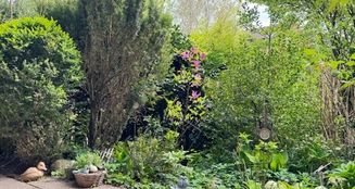 von_poll_real_estate_property_25095012_image_2