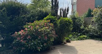 von_poll_real_estate_property_25095012_image_1