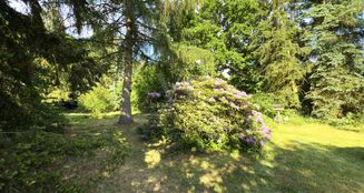 von_poll_real_estate_property_25138013_image_6