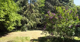 von_poll_real_estate_property_25138013_image_3