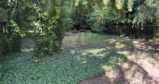 von_poll_real_estate_property_25138013_image_5