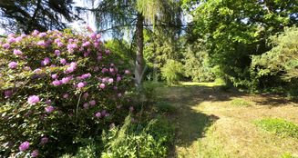 von_poll_real_estate_property_25138013_image_1