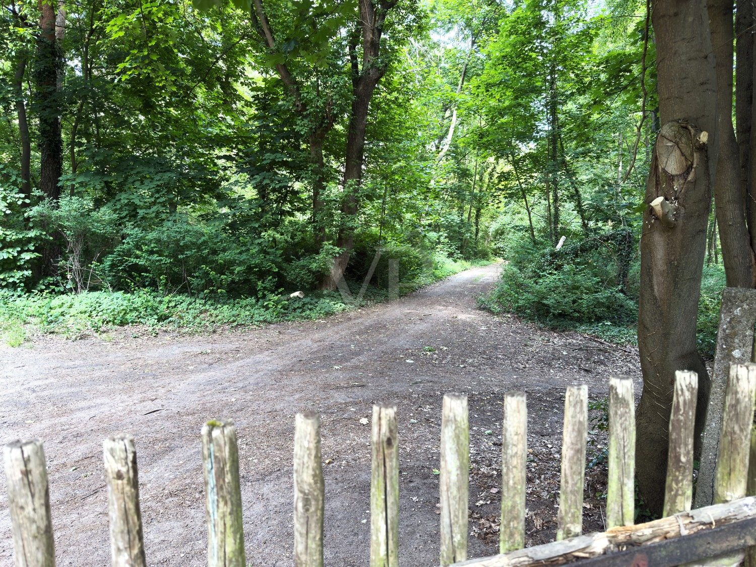 Blick zum Weg