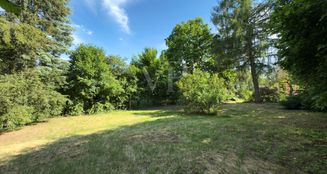 von_poll_real_estate_property_25138013_image_2