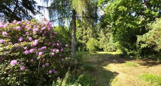 von_poll_real_estate_property_25138013_image_0