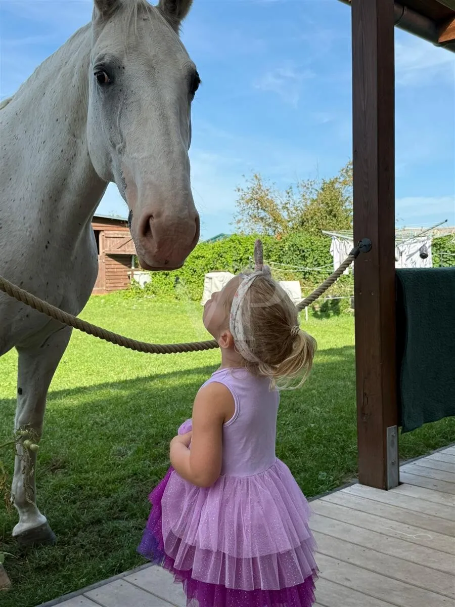 Gäste an der Terrasse