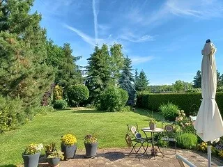 Grüne Aussicht