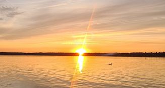 von_poll_real_estate_property_24412015_image_11