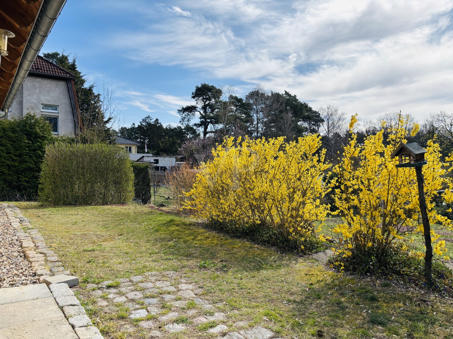 Blick von der Terrasse