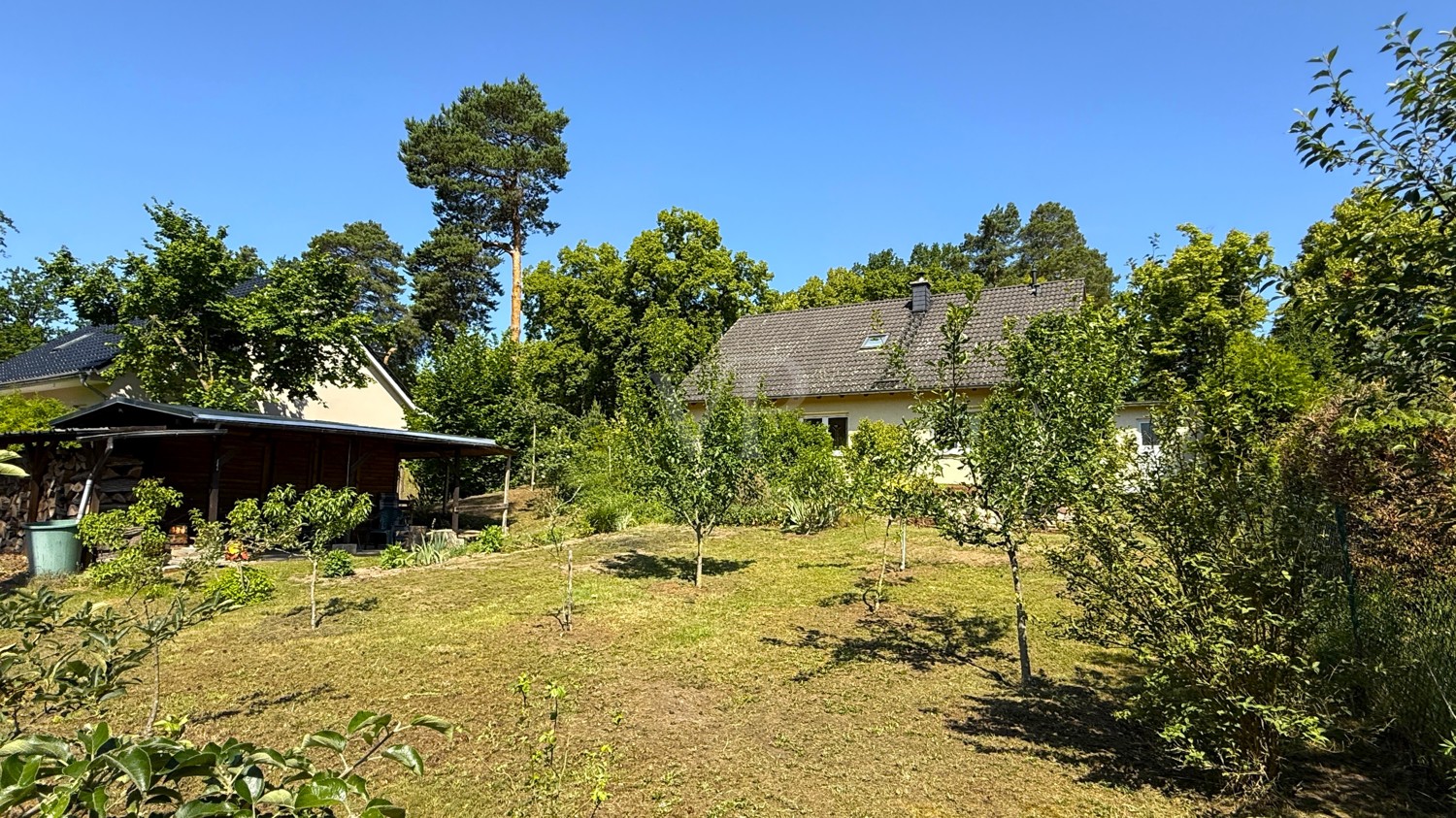 Blick aus dem Garten