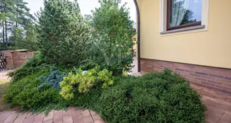 von_poll_real_estate_property_25138019_image_5