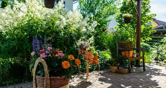 von_poll_real_estate_property_25138006_image_13