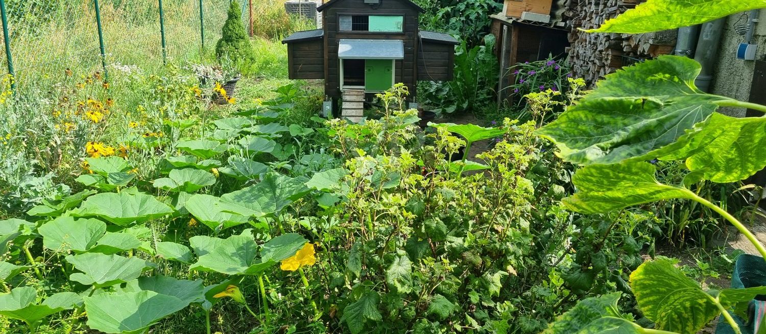 Garten