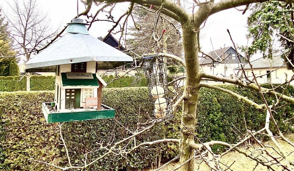 Gartenblick