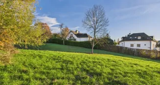 von_poll_real_estate_property_25006074_image_6