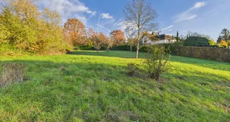 von_poll_real_estate_property_25006074_image_8