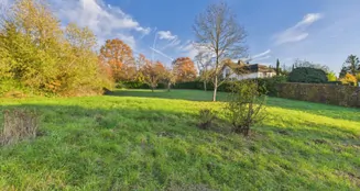 von_poll_real_estate_property_25006074_image_8