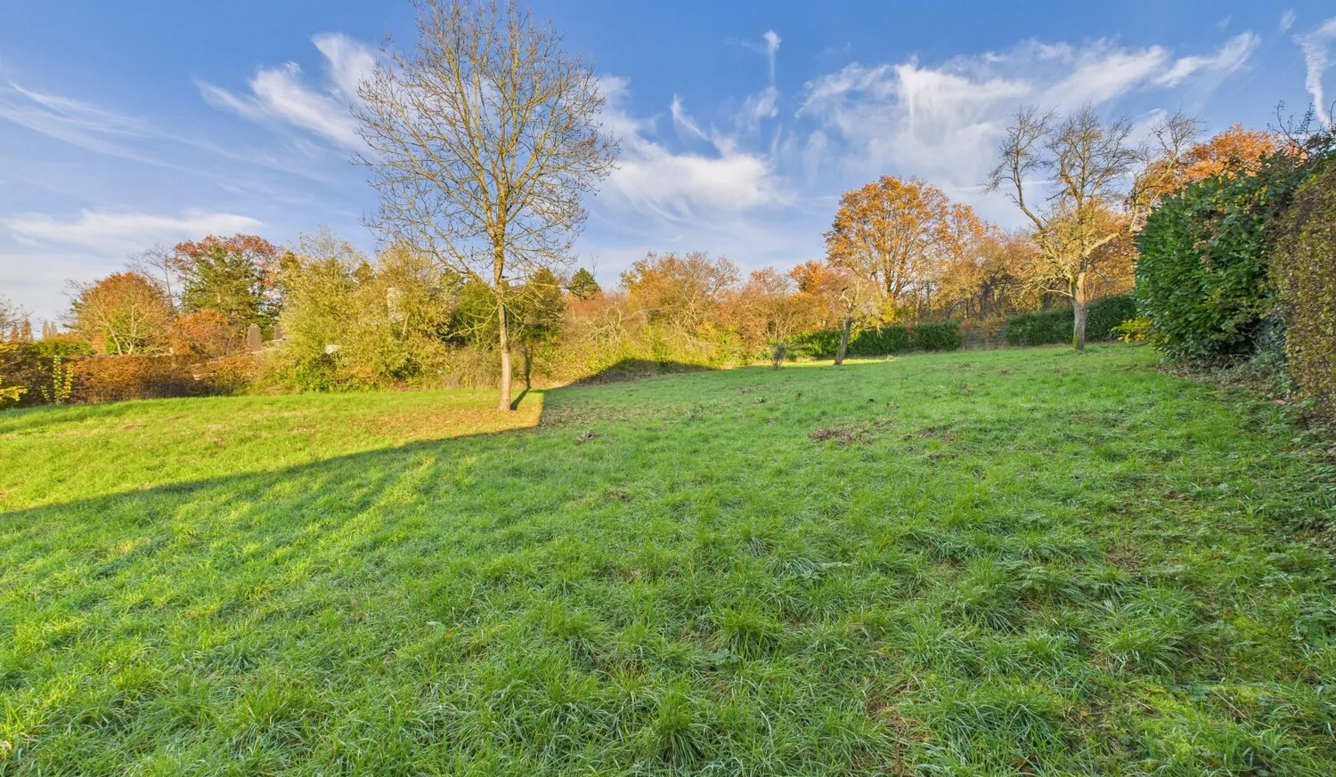 Ansicht Grundstück III