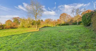 von_poll_real_estate_property_25006074_image_3