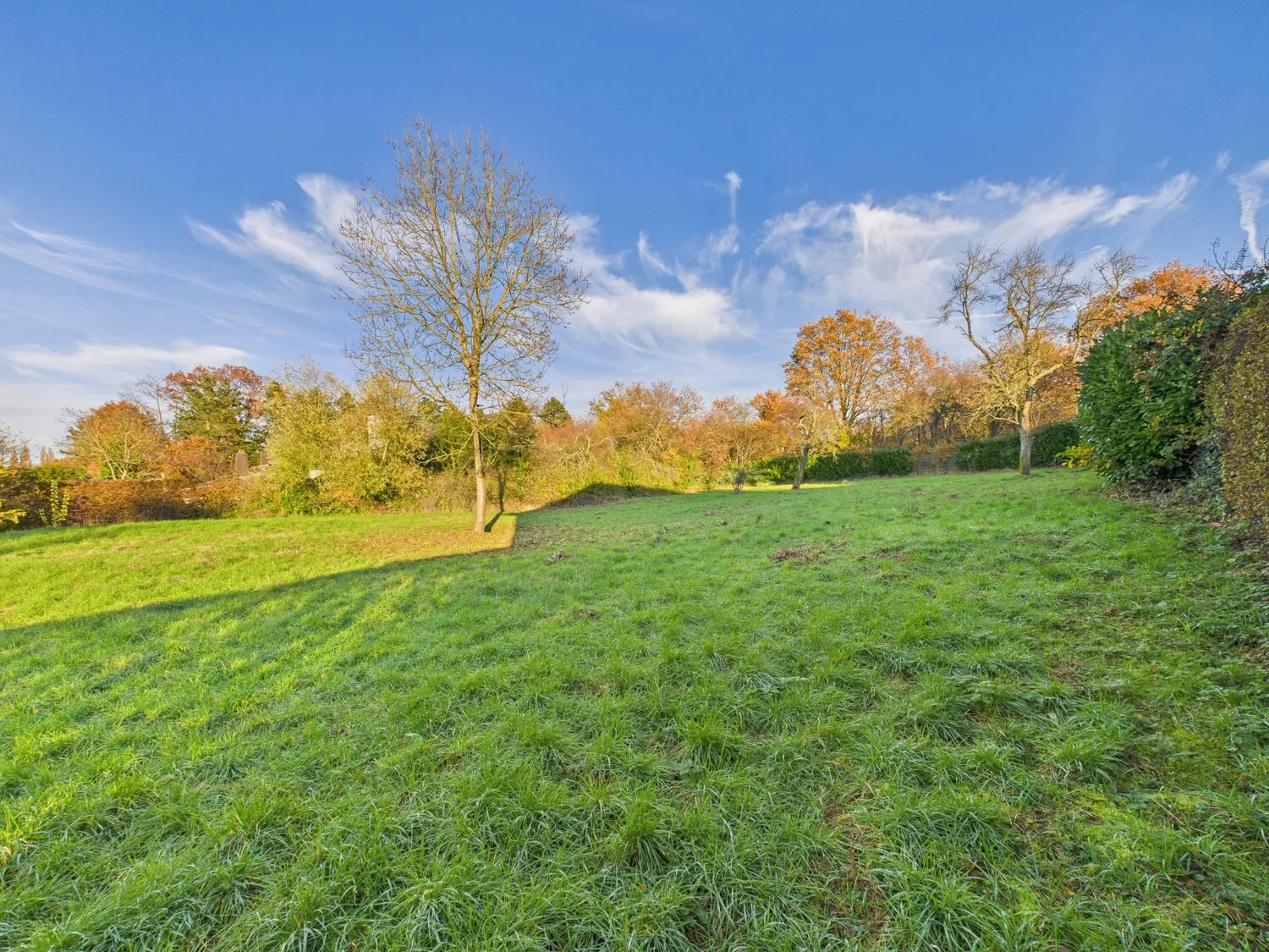 Ansicht Grundstück III