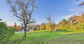 von_poll_real_estate_property_25006074_image_0