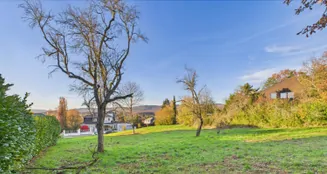 von_poll_real_estate_property_25006074_image_0