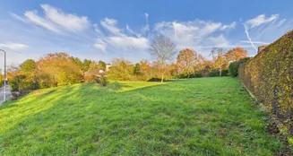 von_poll_real_estate_property_25006074_image_4