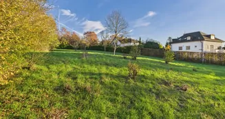 von_poll_real_estate_property_25006074_image_2