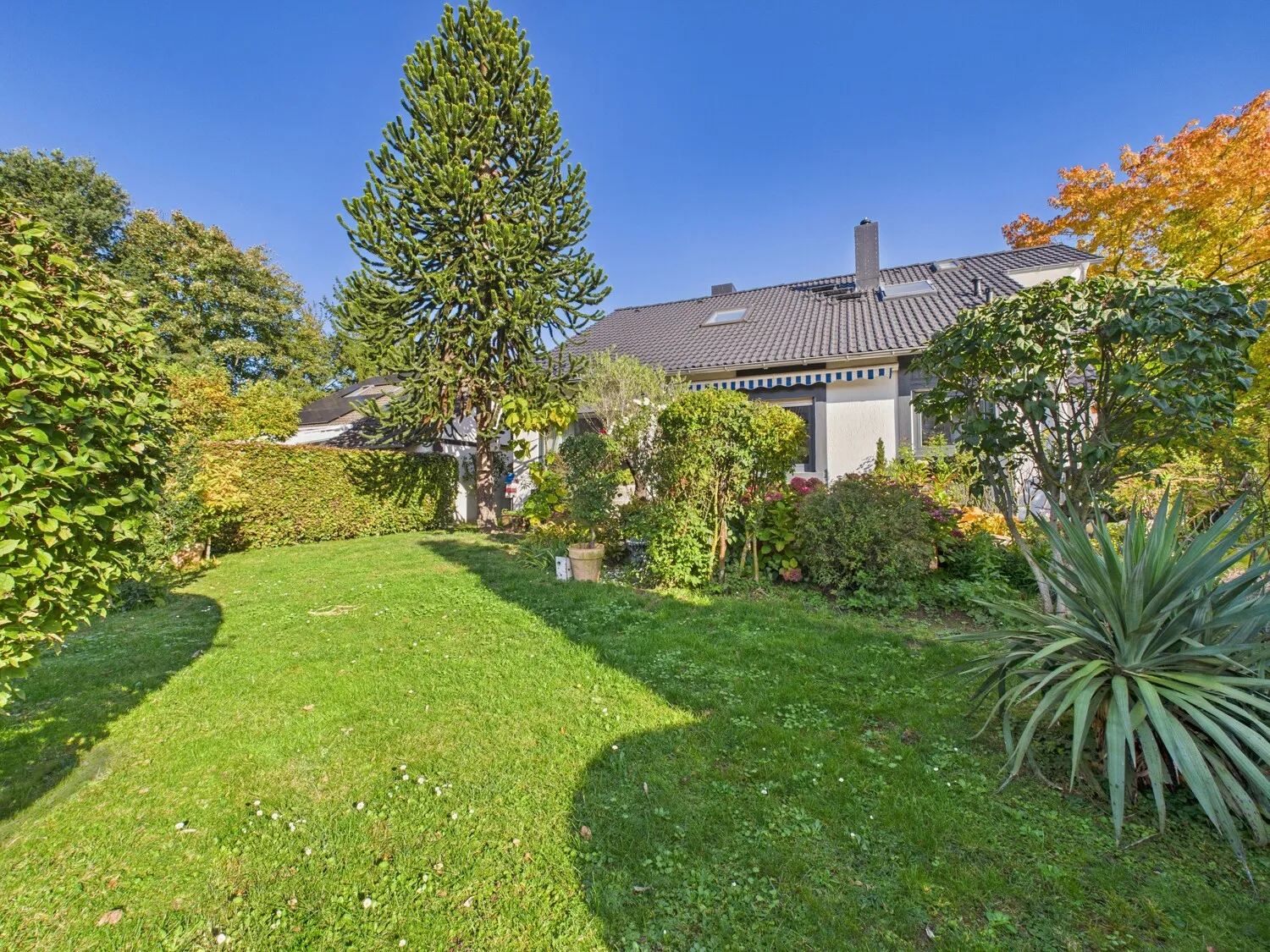 A detached family dream home with a great garden and plenty of space to improve!