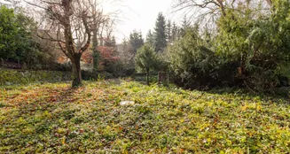 von_poll_real_estate_property_26006007_image_14