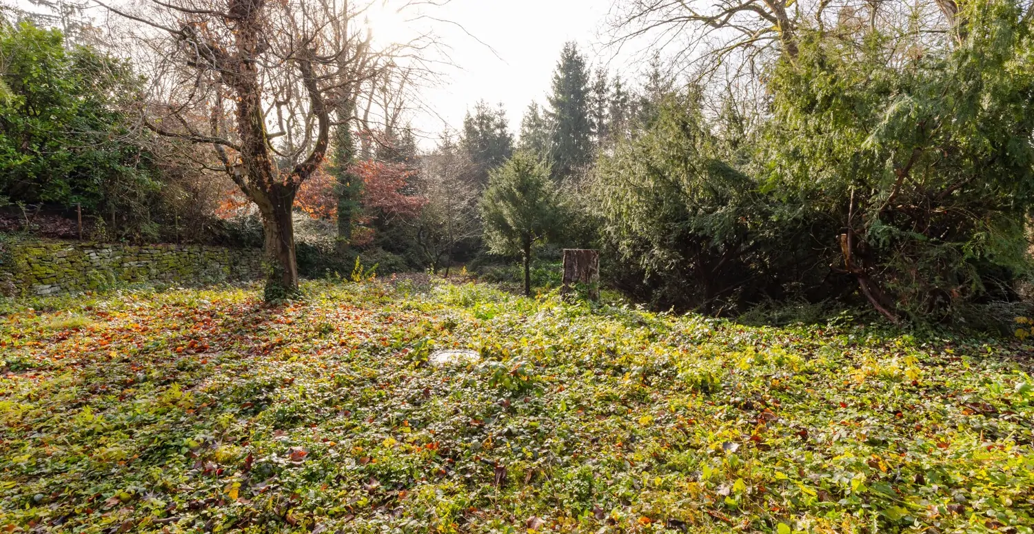 eingewachsener Garten