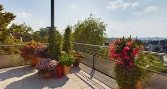 von_poll_real_estate_property_25006055_image_11
