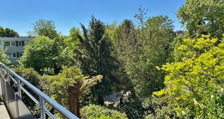 von_poll_real_estate_property_25006019_image_9