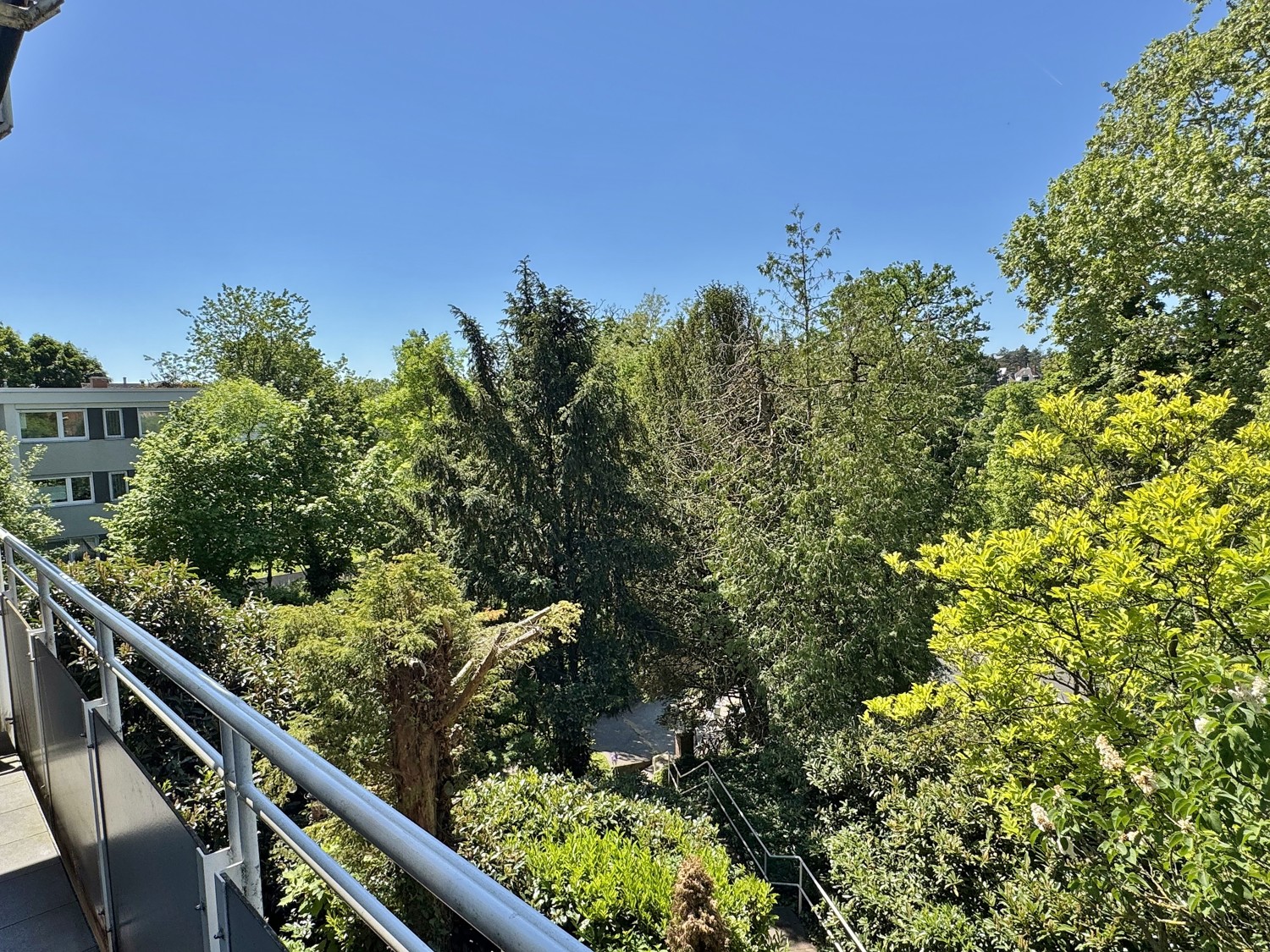 Ausblick ins Grüne