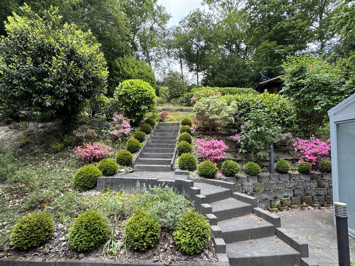 Weitläufiger Garten