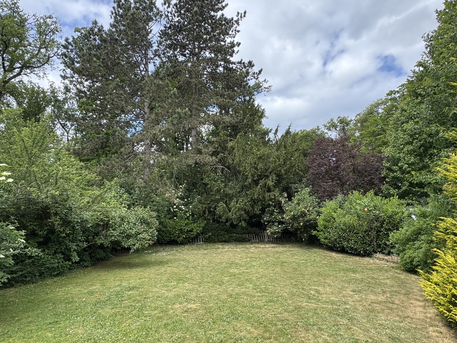 Garten am Waldrand