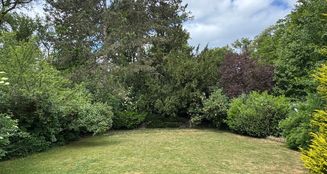 von_poll_real_estate_property_25006024_image_10