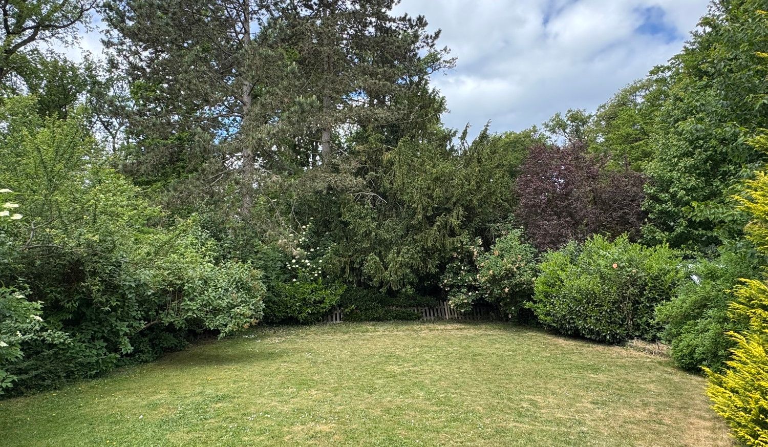 Garten am Waldrand