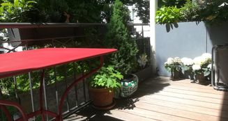 von_poll_real_estate_property_25006001_image_8