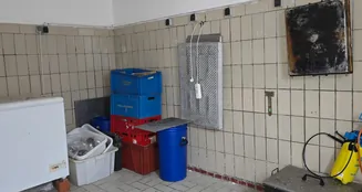 von_poll_real_estate_property_25037012_image_9