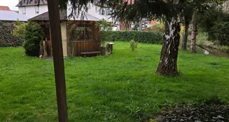 von_poll_real_estate_property_25037012_image_17