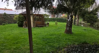 von_poll_real_estate_property_25037012_image_17