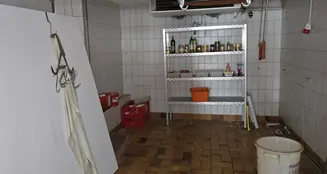 von_poll_real_estate_property_25037012_image_3