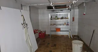 von_poll_real_estate_property_25037012_image_3