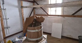 von_poll_real_estate_property_25037012_image_15