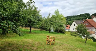 von_poll_real_estate_property_25037025_image_18