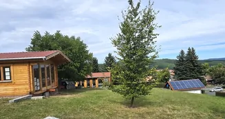 von_poll_real_estate_property_25037035_image_2