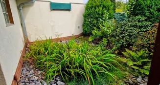 von_poll_real_estate_property_25037039_image_24