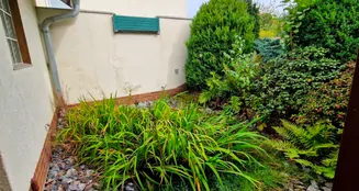 von_poll_real_estate_property_25037039_image_24